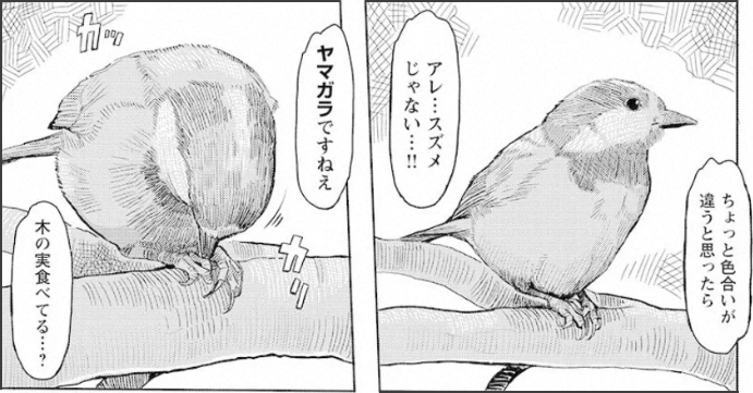 f:id:cosinon:20210127115133p:plain