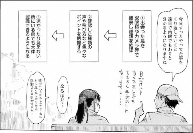 f:id:cosinon:20210127115146p:plain