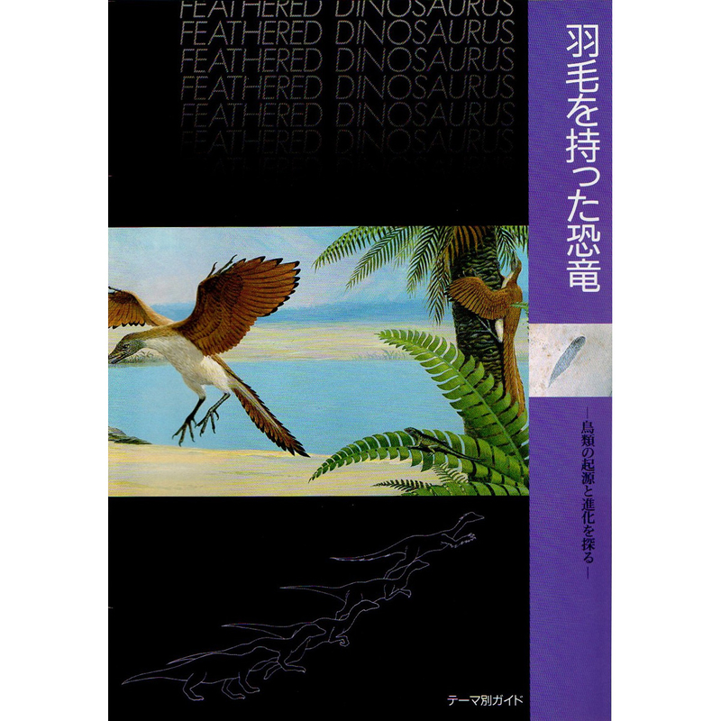 f:id:cosinon:20210128034822j:plain