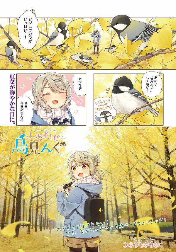 f:id:cosinon:20210206095800j:plain