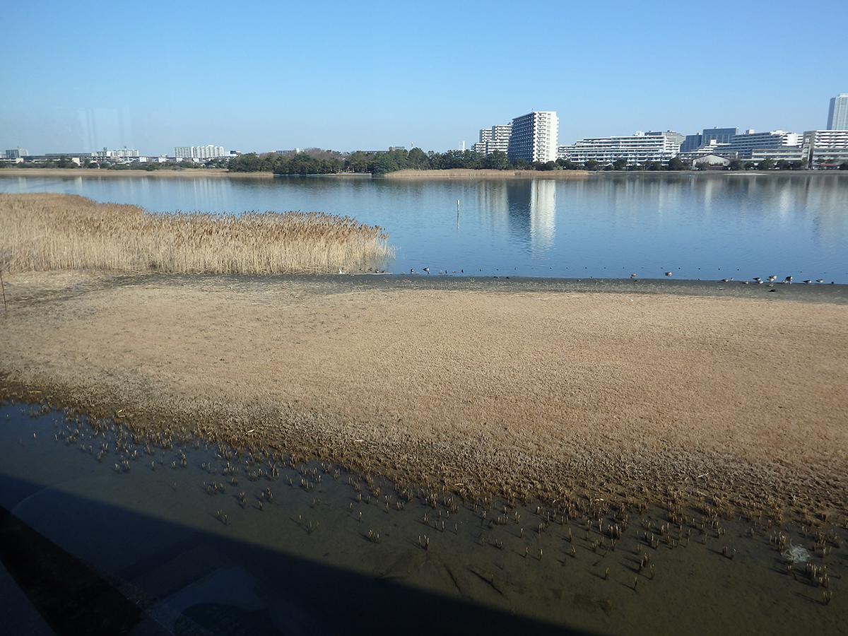 f:id:cosinon:20210209093057j:plain