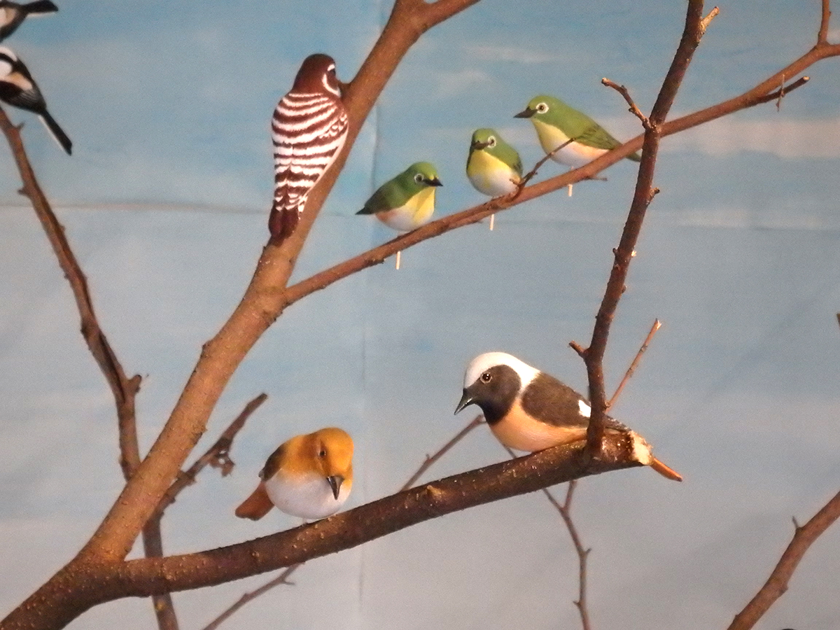 バードカービング オオヨシキリ ヴィンテージ