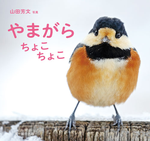 f:id:cosinon:20210209110327j:plain