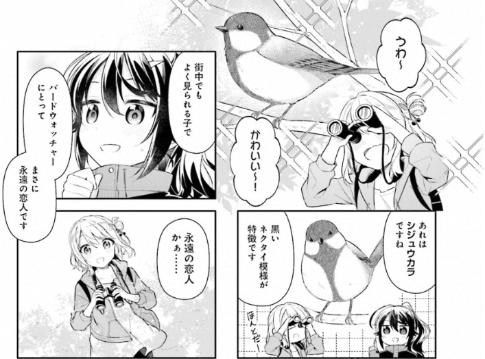 f:id:cosinon:20210224094538p:plain
