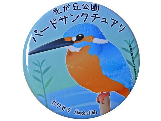 f:id:cosinon:20210224101407j:plain