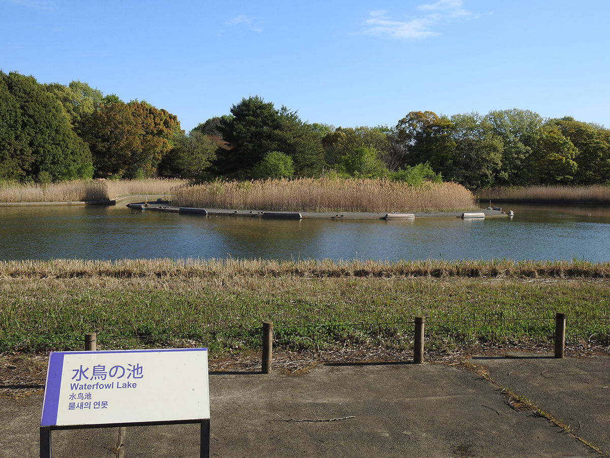 f:id:cosinon:20210412203859j:plain