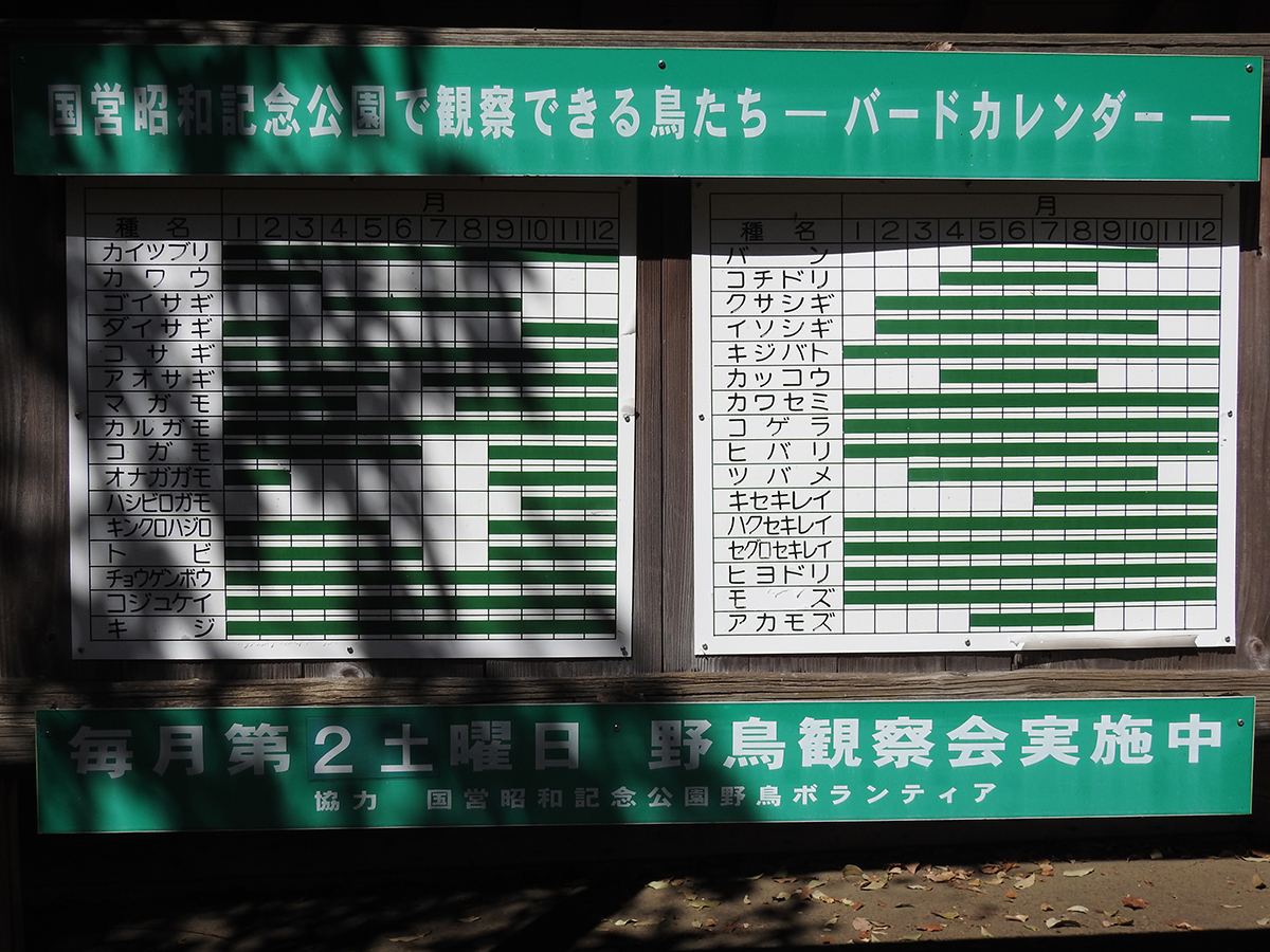 f:id:cosinon:20210412203920j:plain