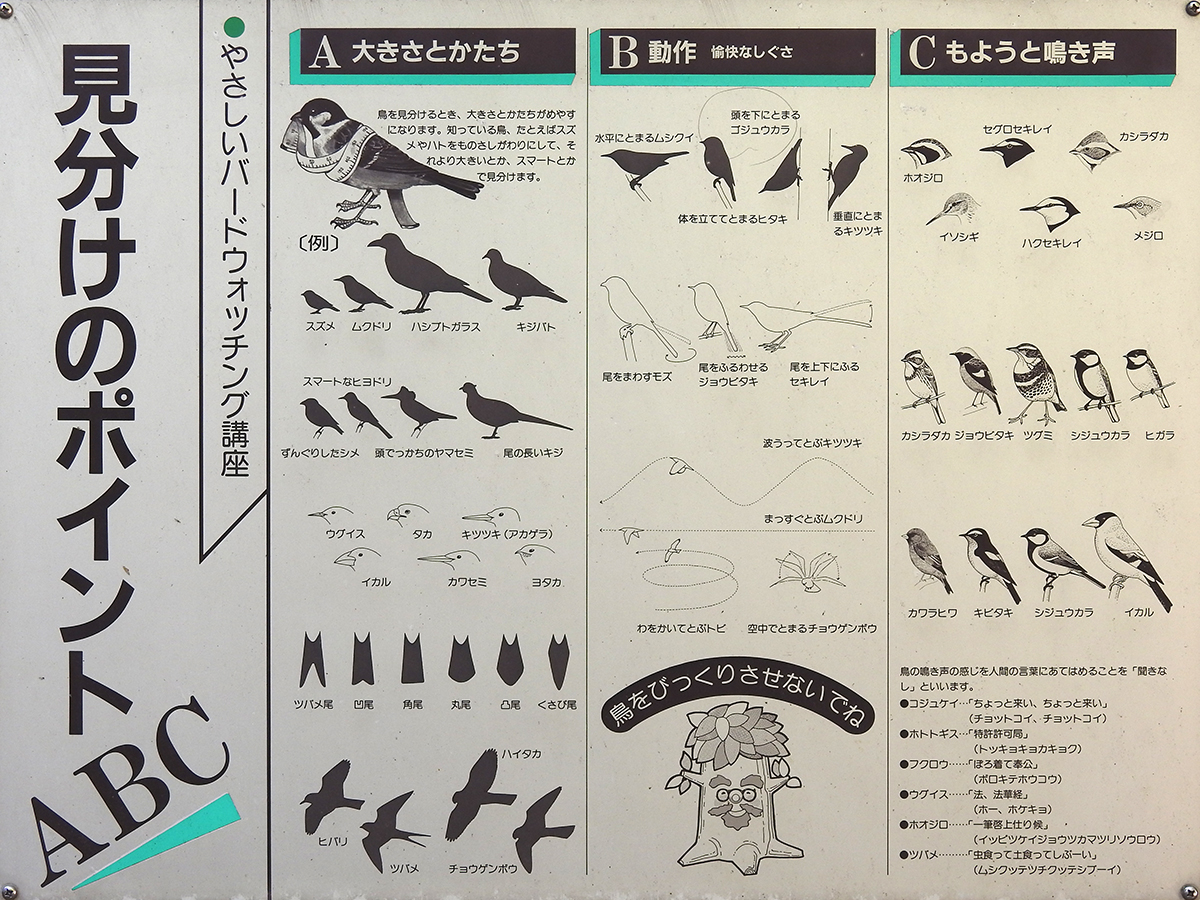 f:id:cosinon:20210412203926j:plain