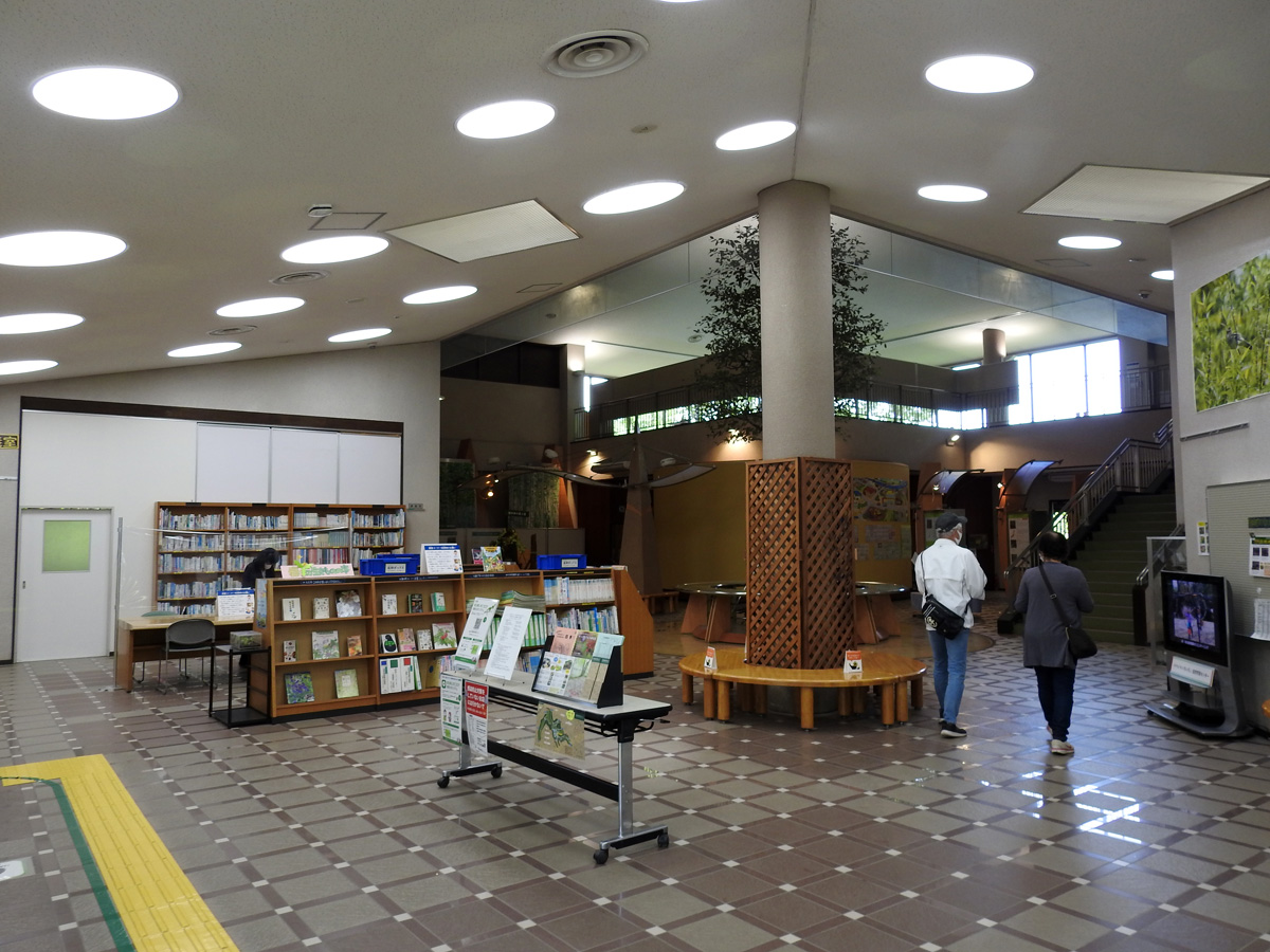 f:id:cosinon:20210426051829j:plain