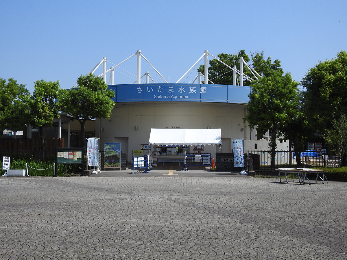 f:id:cosinon:20210531131441j:plain