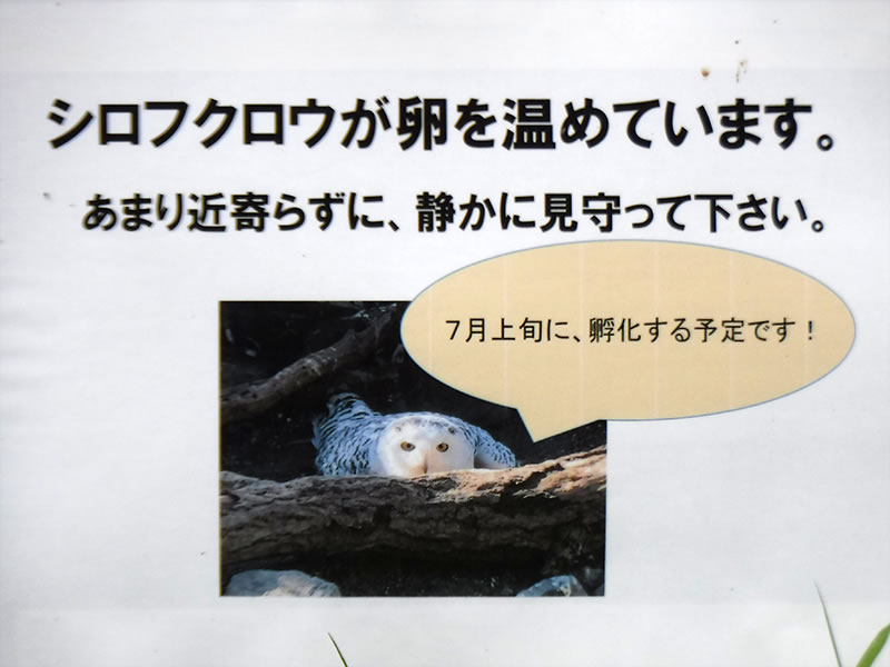 f:id:cosinon:20210624171302j:plain