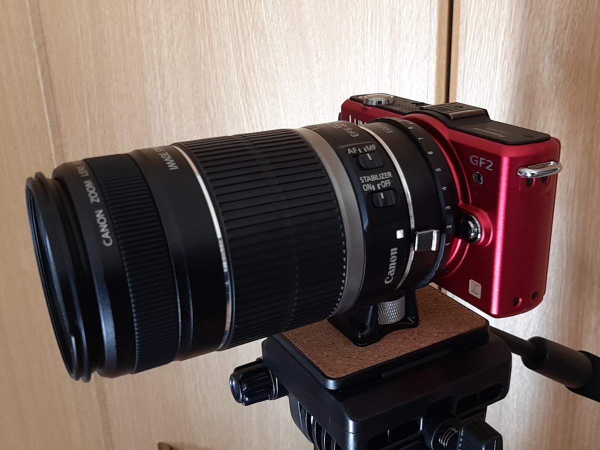 f:id:cosinon:20210719125134j:plain