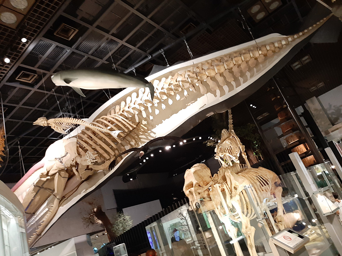 f:id:cosinon:20210927162808j:plain