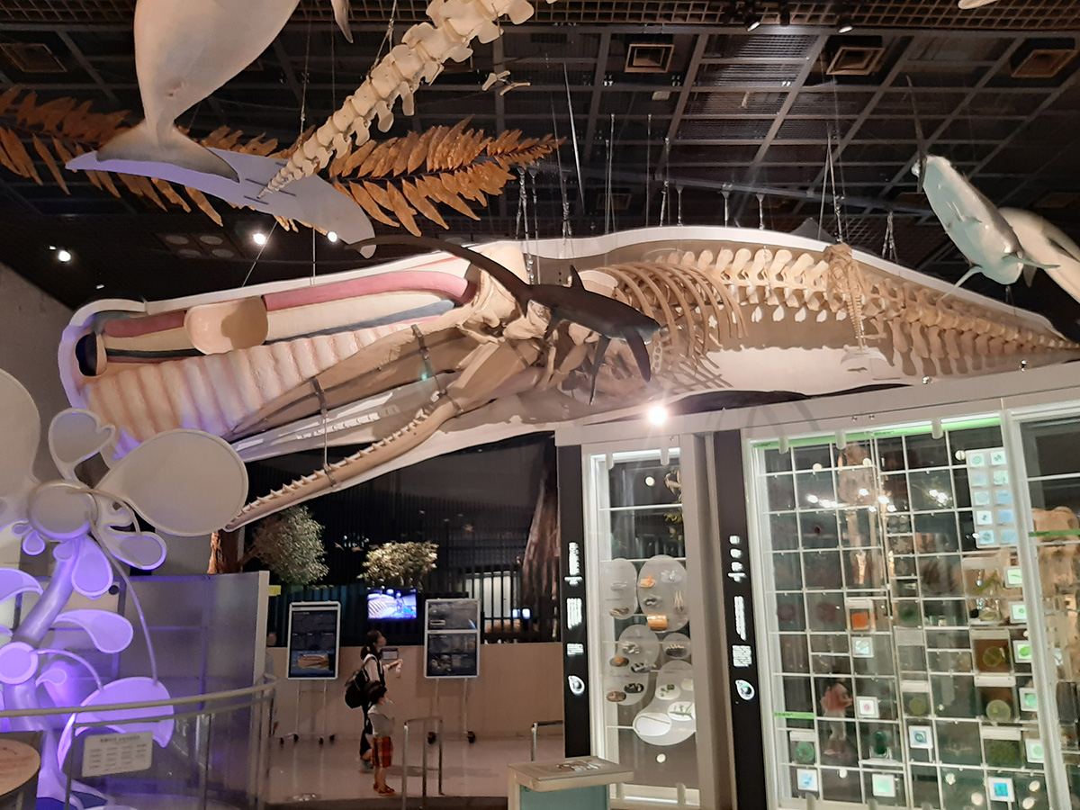 f:id:cosinon:20210927162819j:plain