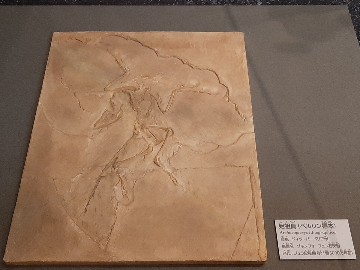 f:id:cosinon:20210927162827j:plain