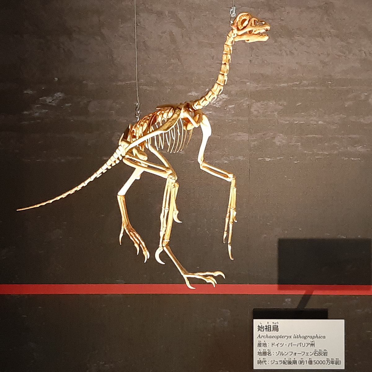 f:id:cosinon:20210927162831j:plain