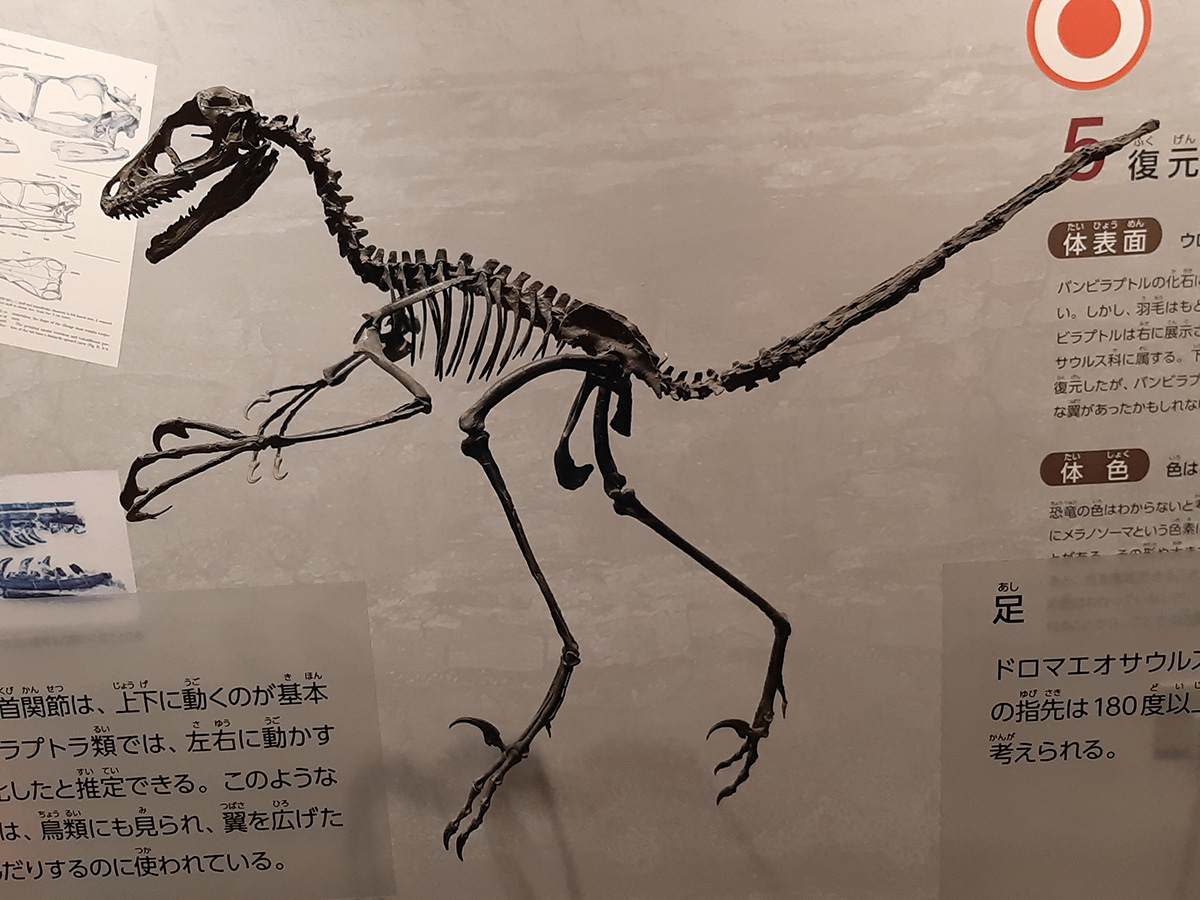 f:id:cosinon:20210927162834j:plain