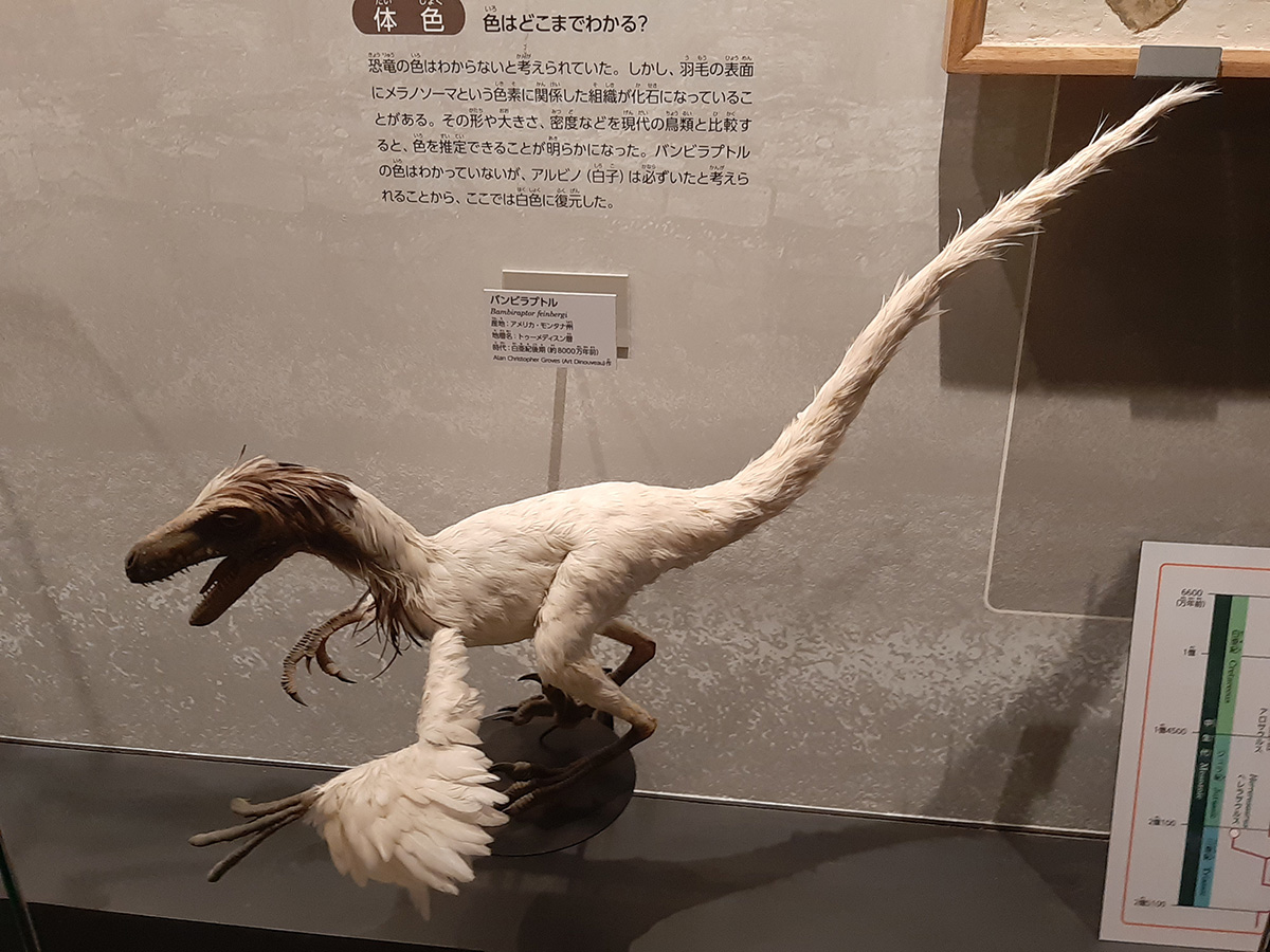 f:id:cosinon:20210927162838j:plain