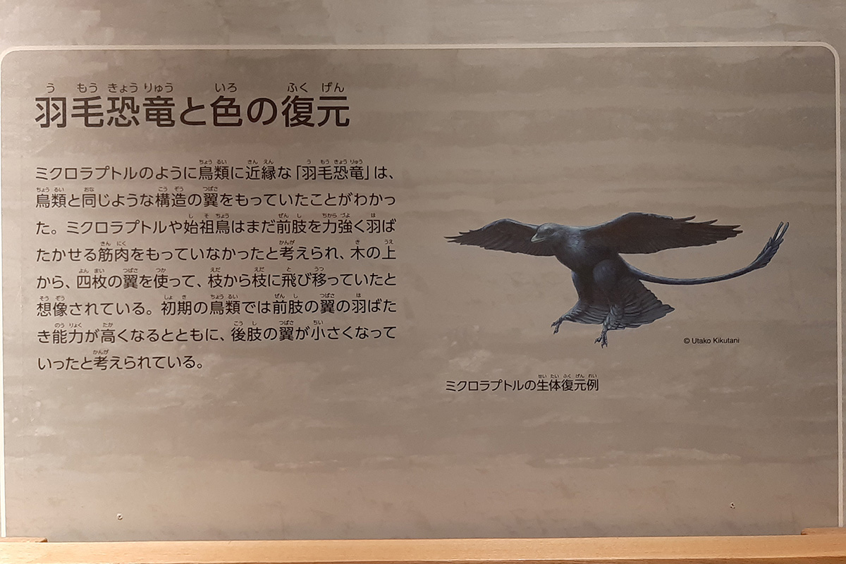 f:id:cosinon:20210927162841j:plain