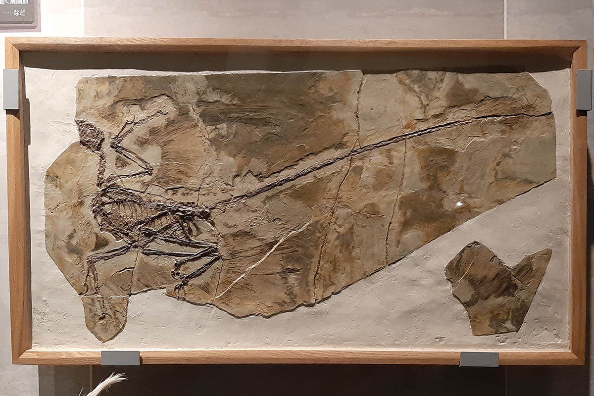 f:id:cosinon:20210927162845j:plain