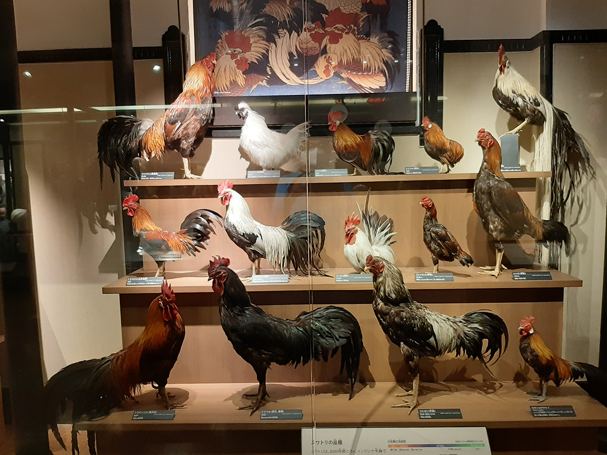 f:id:cosinon:20210927162848j:plain