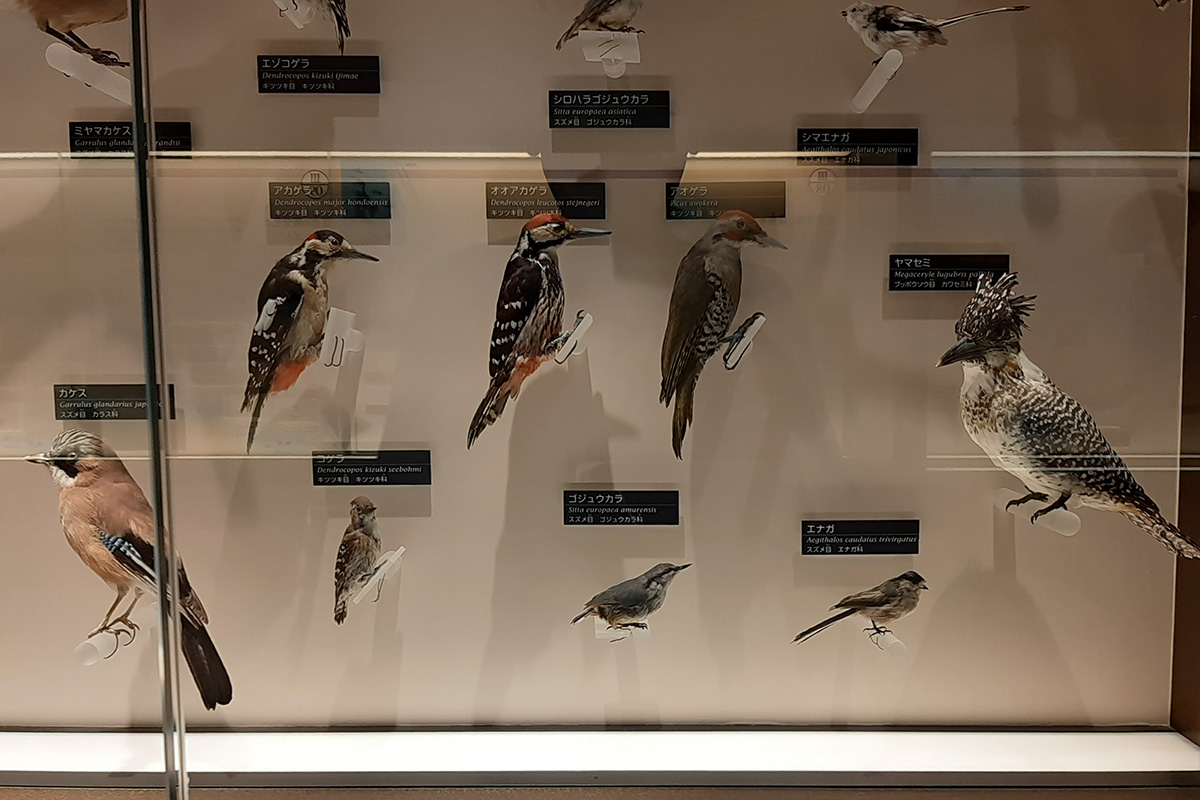 f:id:cosinon:20210927162852j:plain