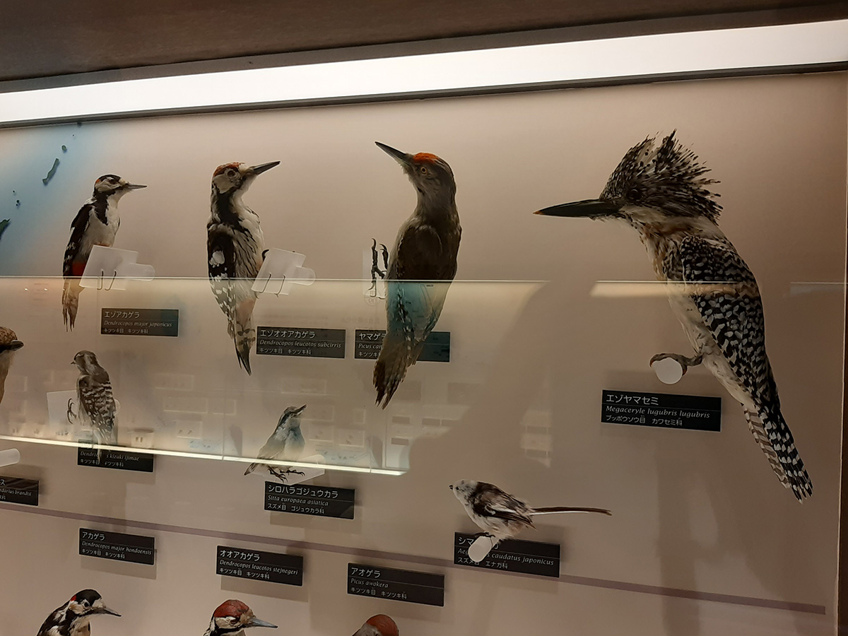 f:id:cosinon:20210927162855j:plain