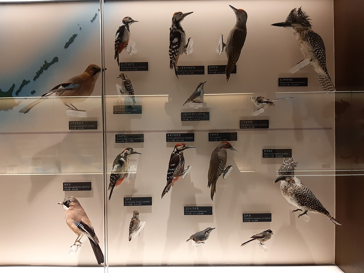 f:id:cosinon:20210927162858j:plain