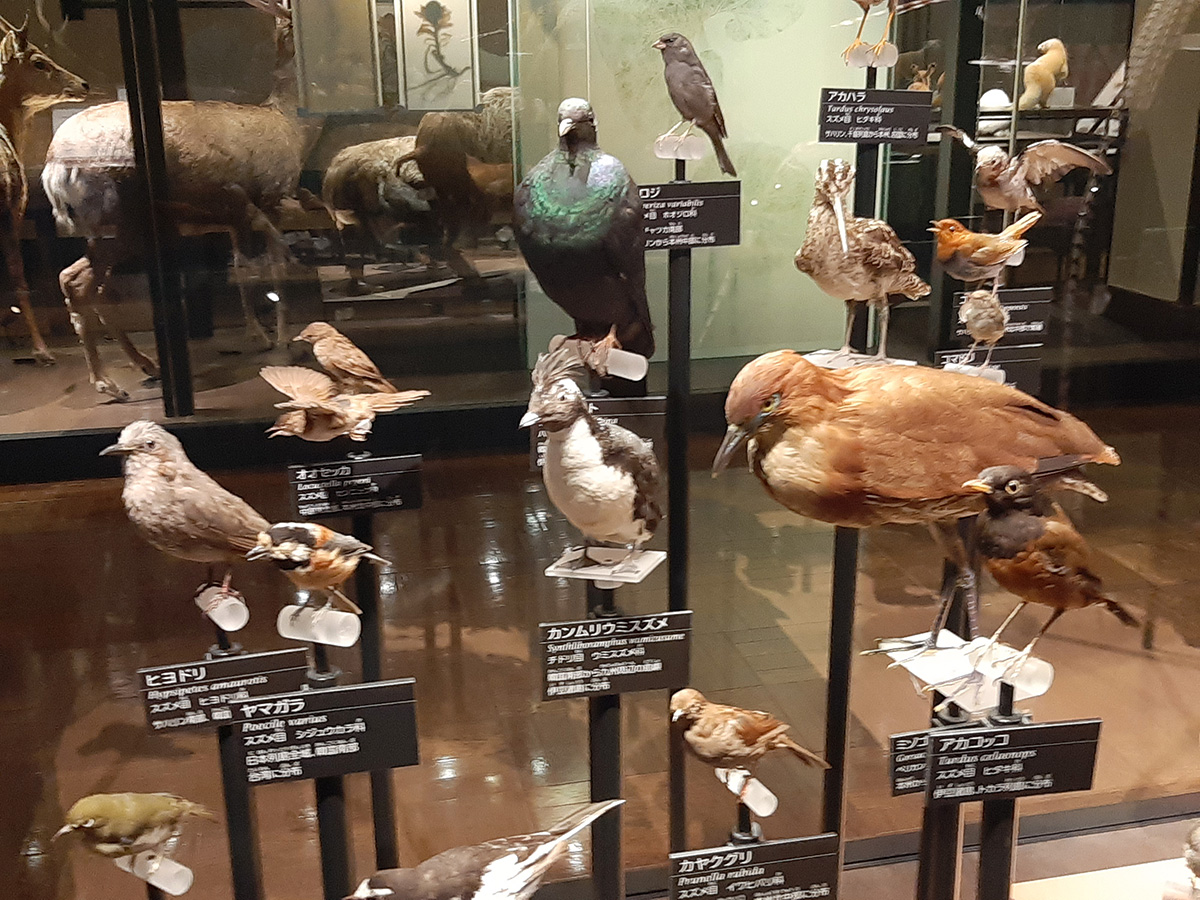 f:id:cosinon:20210927162902j:plain