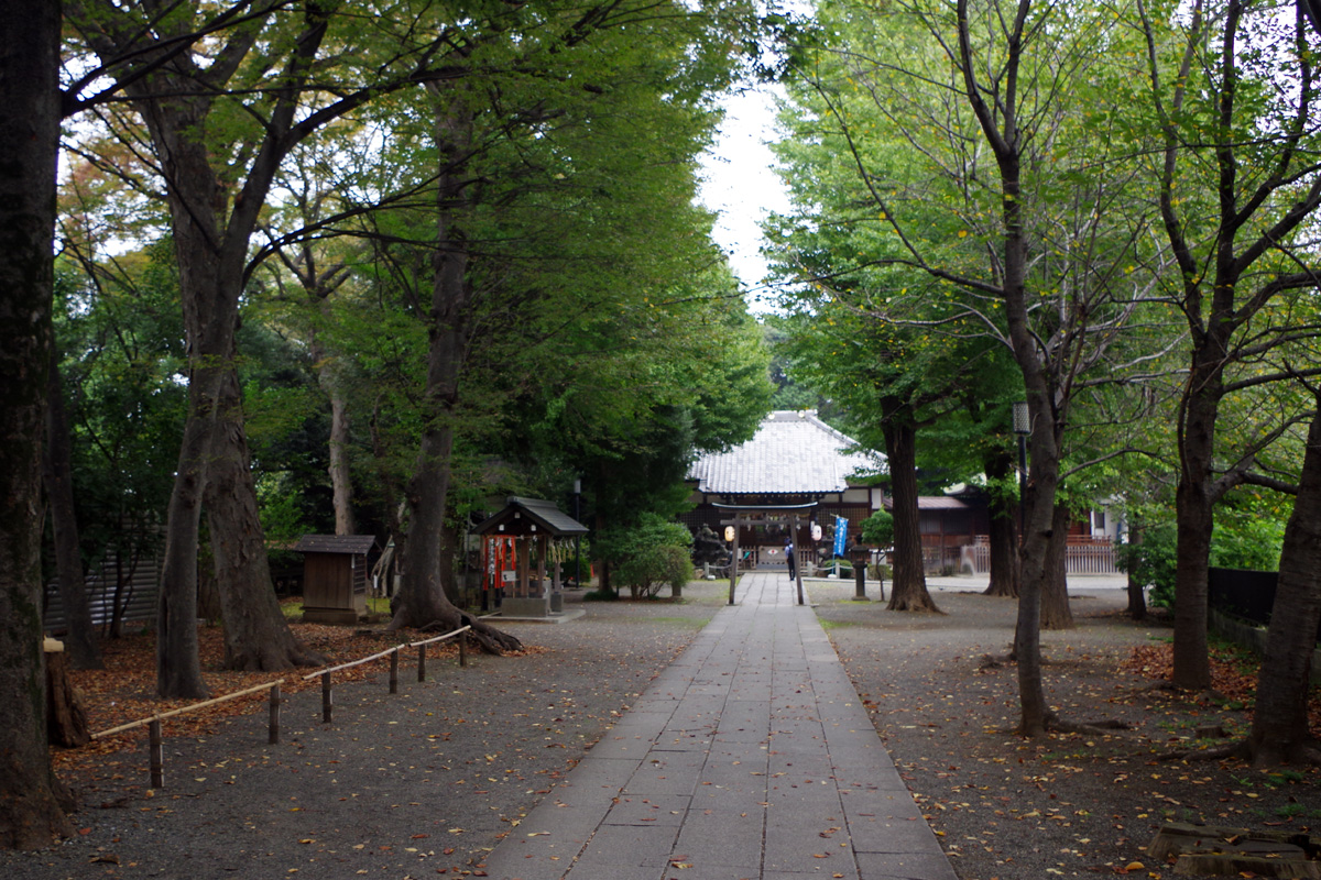 f:id:cosinon:20211013110448j:plain