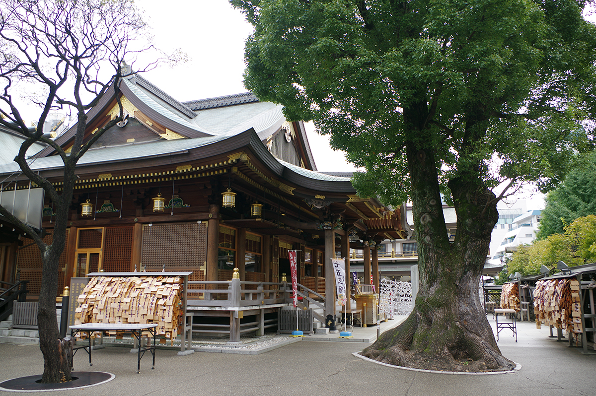f:id:cosinon:20211013152853j:plain