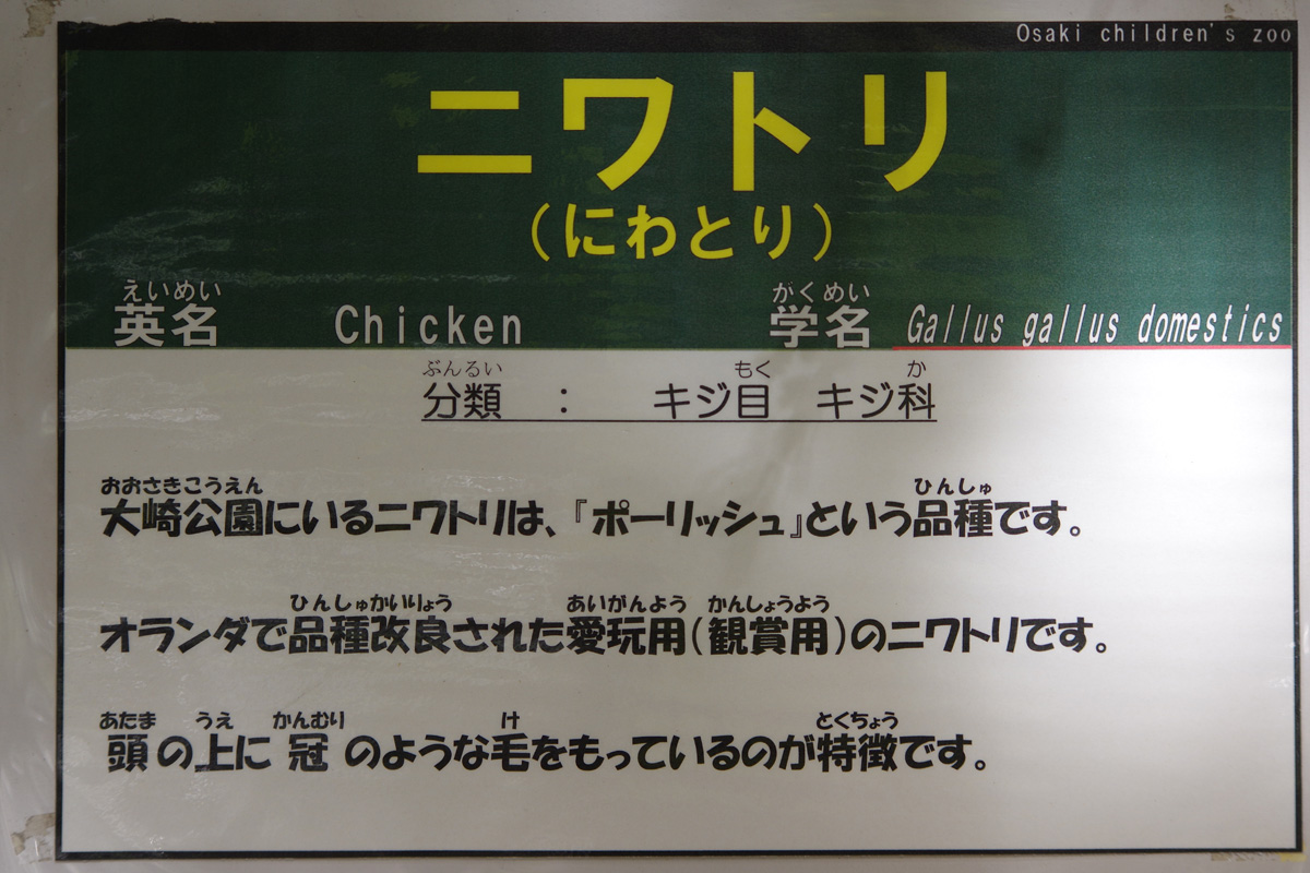 f:id:cosinon:20211107195238j:plain