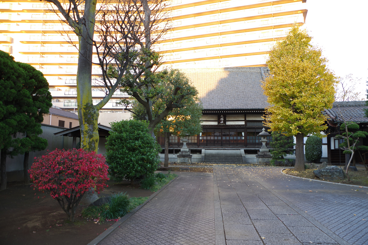 f:id:cosinon:20211207133603j:plain