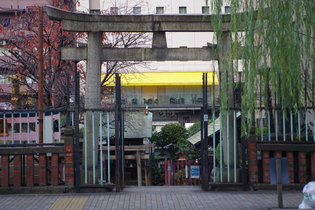 f:id:cosinon:20211207134328j:plain
