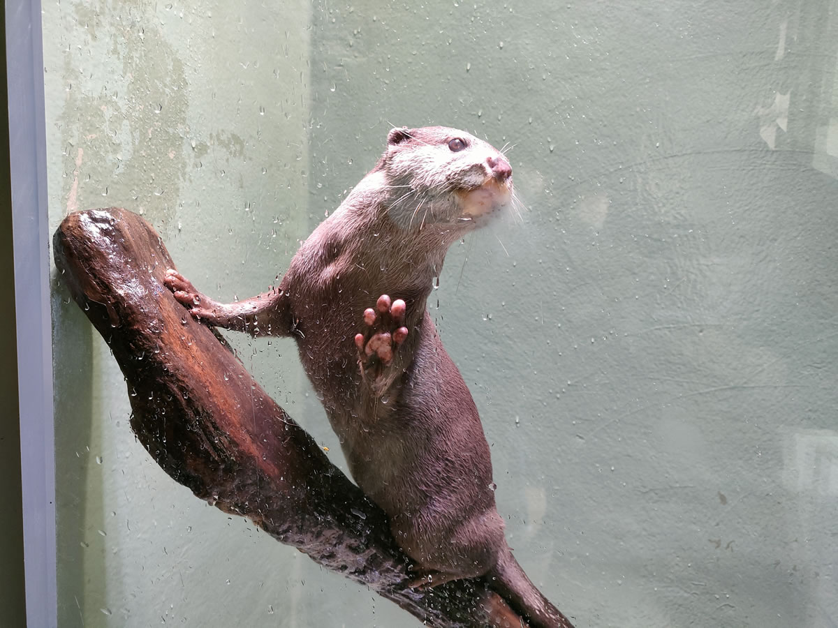 f:id:cosinon:20211217174528j:plain