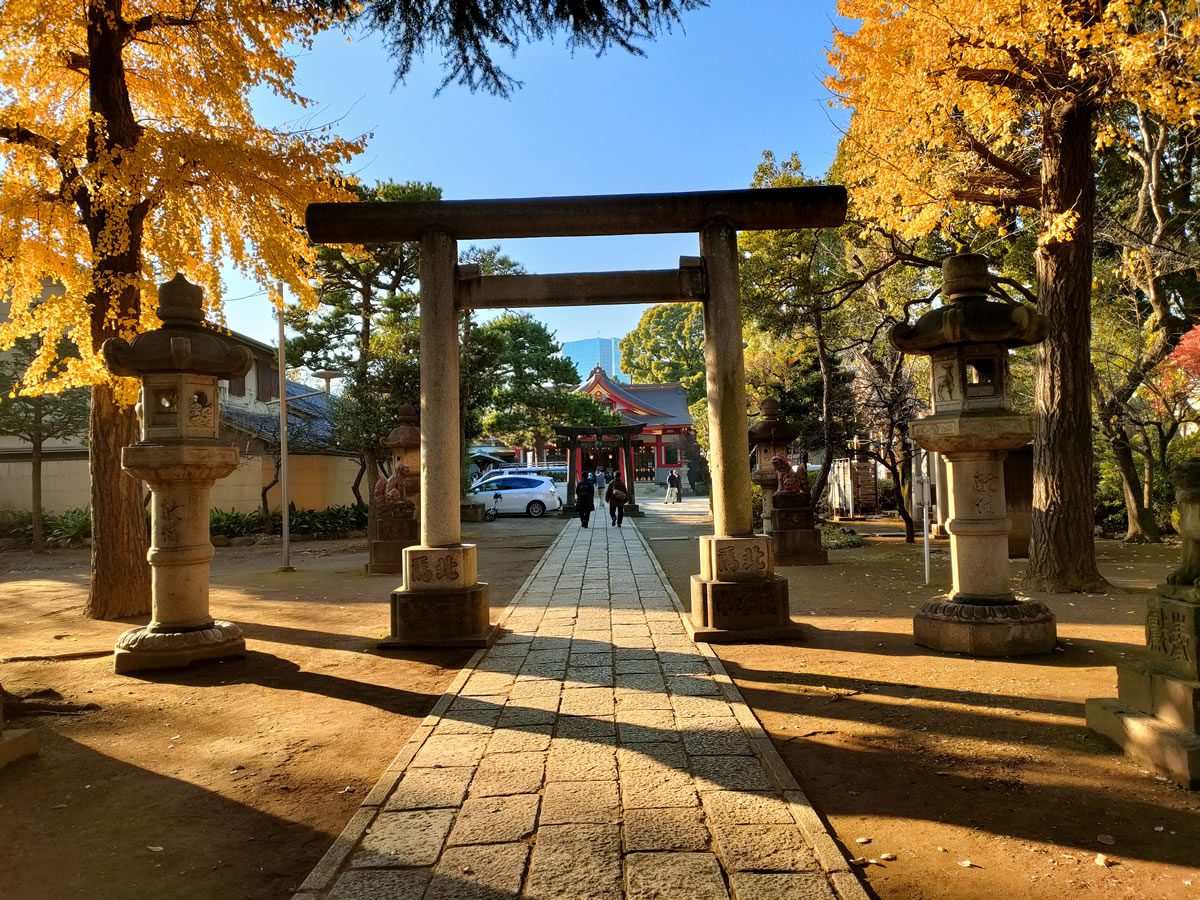 f:id:cosinon:20211217175020j:plain