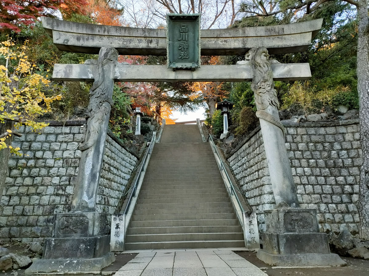 f:id:cosinon:20211217175027j:plain