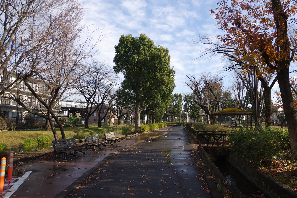 f:id:cosinon:20220103184902j:plain