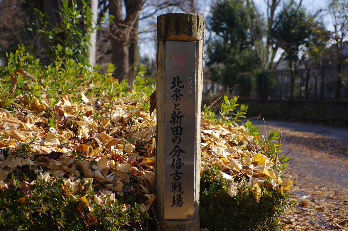 f:id:cosinon:20220103184909j:plain
