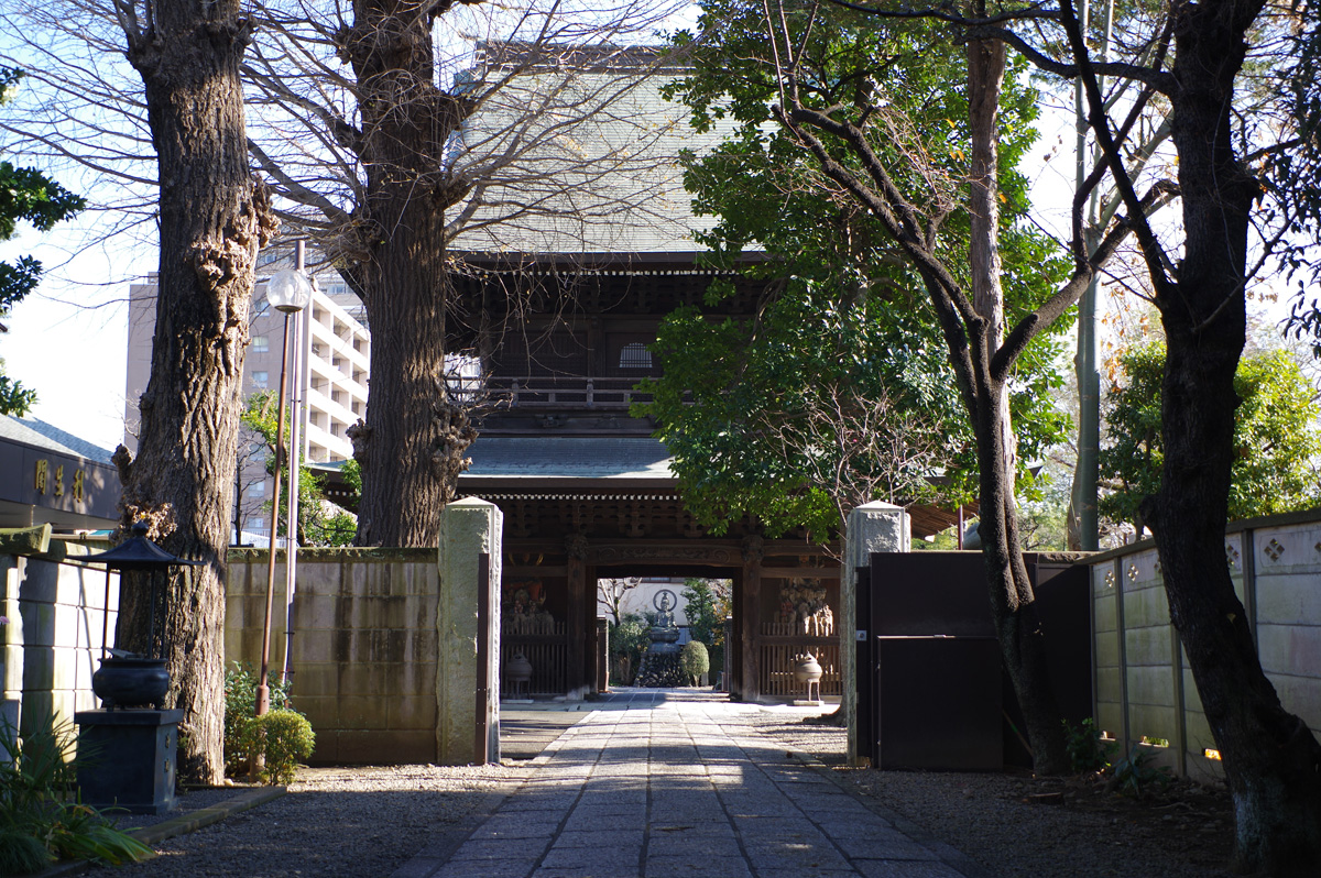 f:id:cosinon:20220103192946j:plain