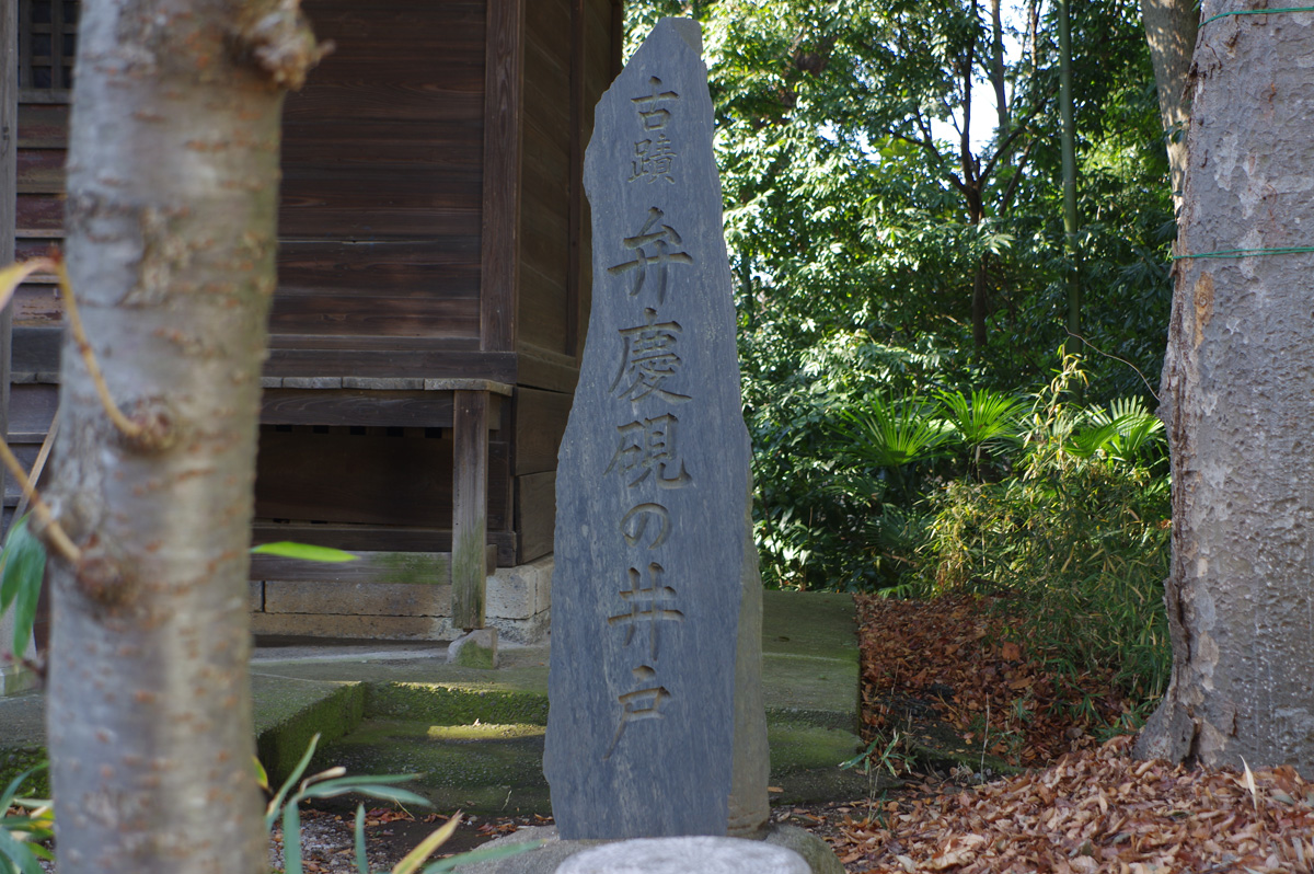 f:id:cosinon:20220103194930j:plain