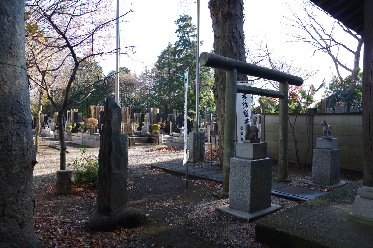 f:id:cosinon:20220103194941j:plain