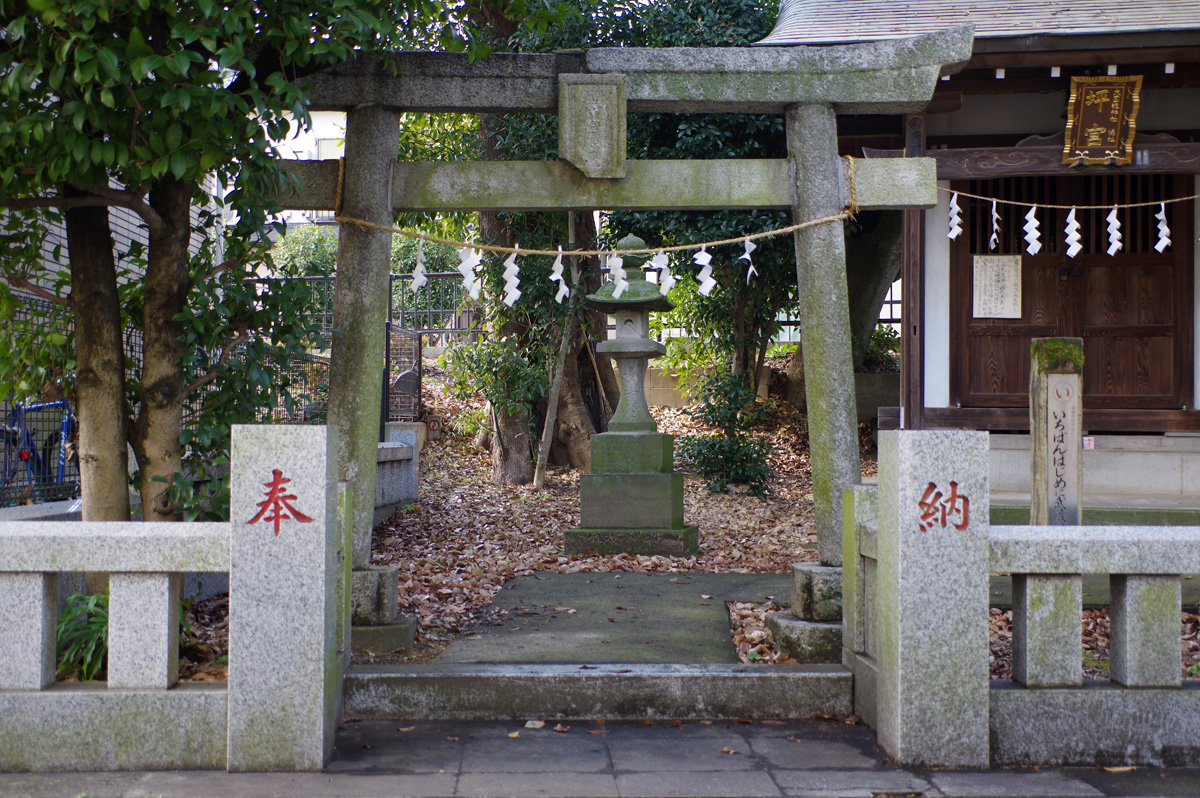 f:id:cosinon:20220103200929j:plain