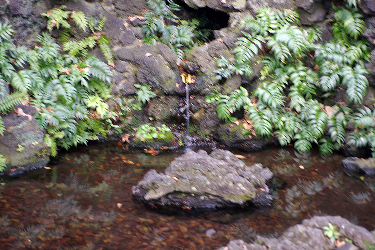f:id:cosinon:20220103223354j:plain