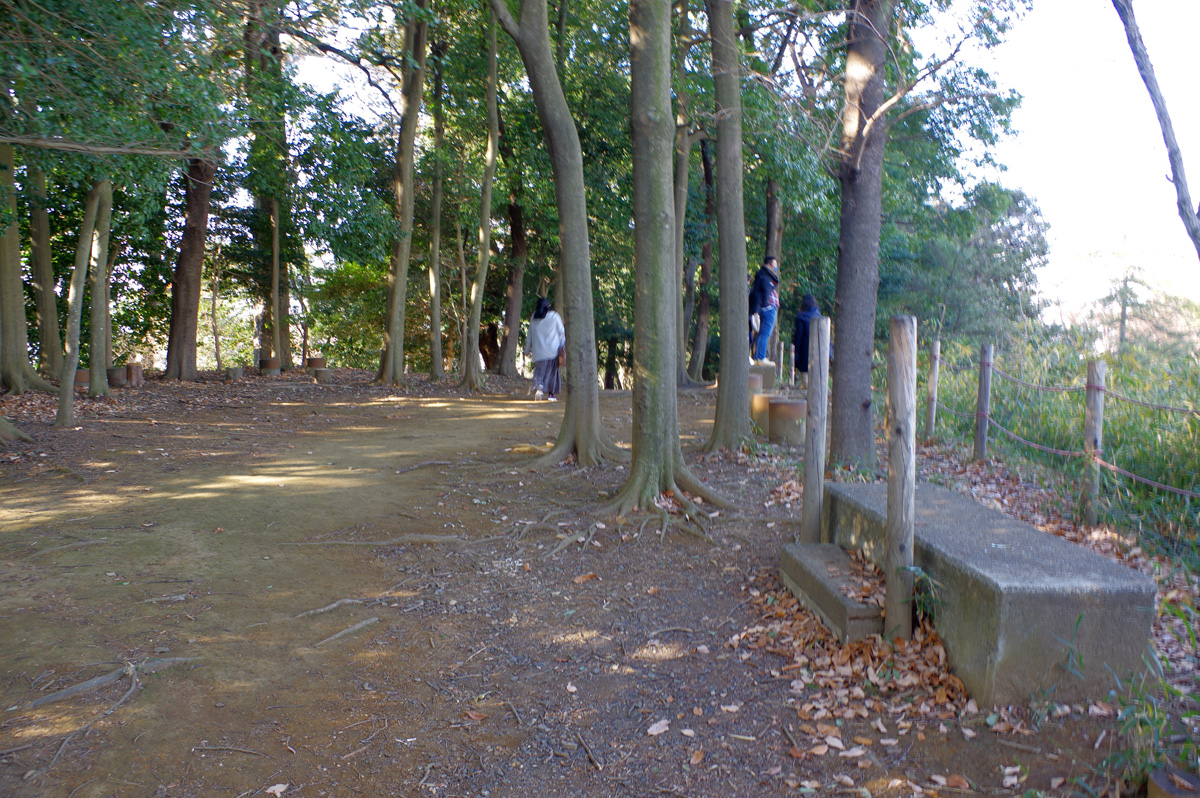 f:id:cosinon:20220104173935j:plain