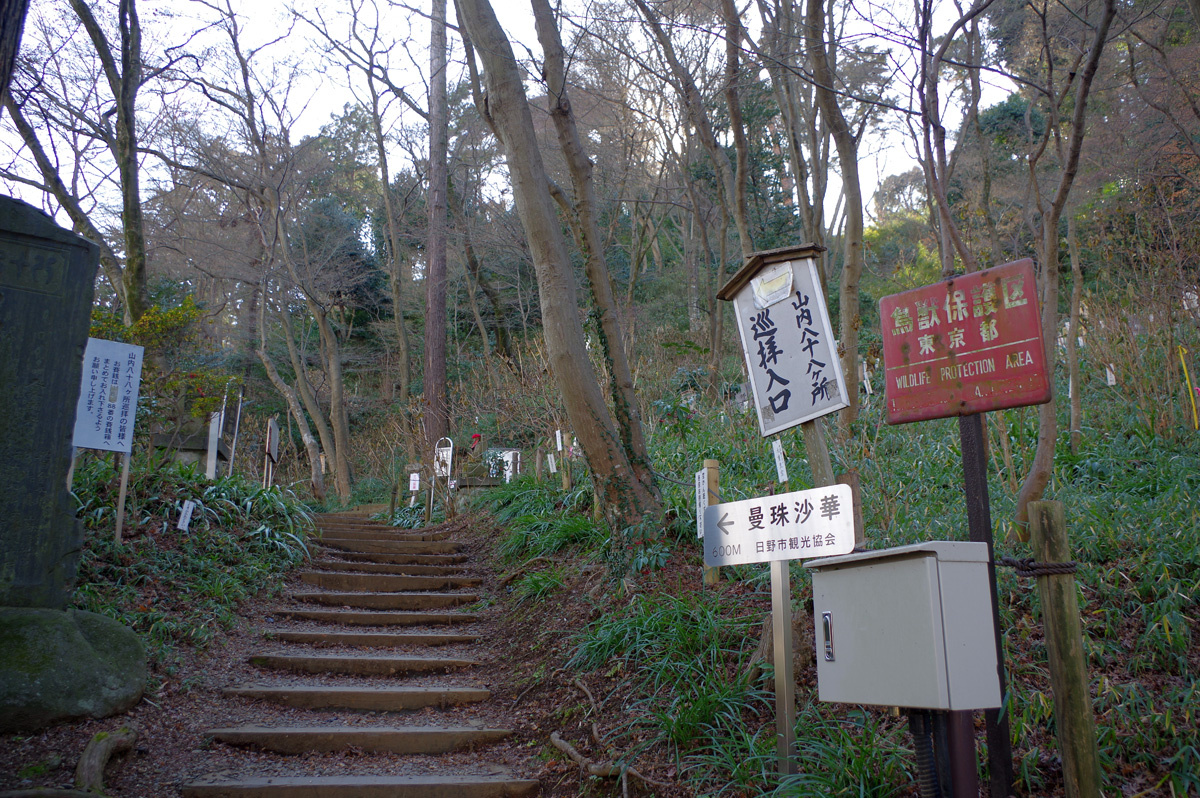 f:id:cosinon:20220104173953j:plain