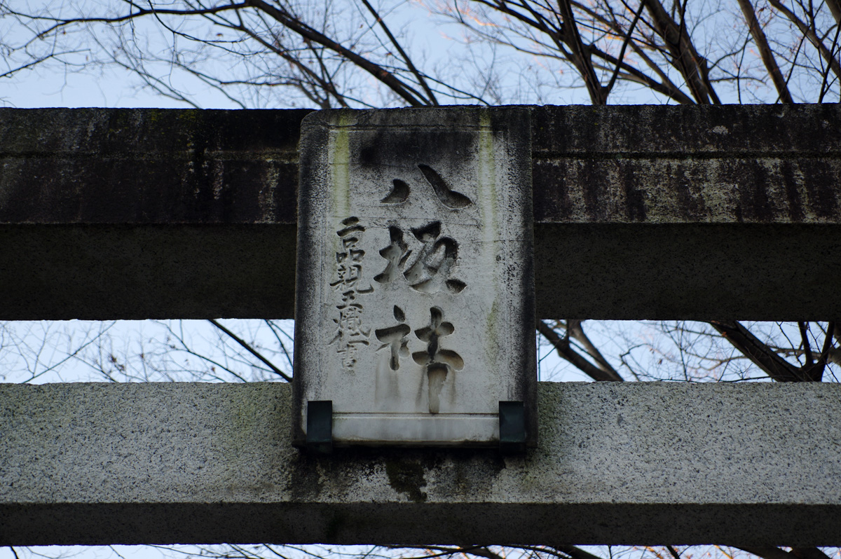 f:id:cosinon:20220123204521j:plain
