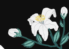 ※Orange Fruit Blossoms※