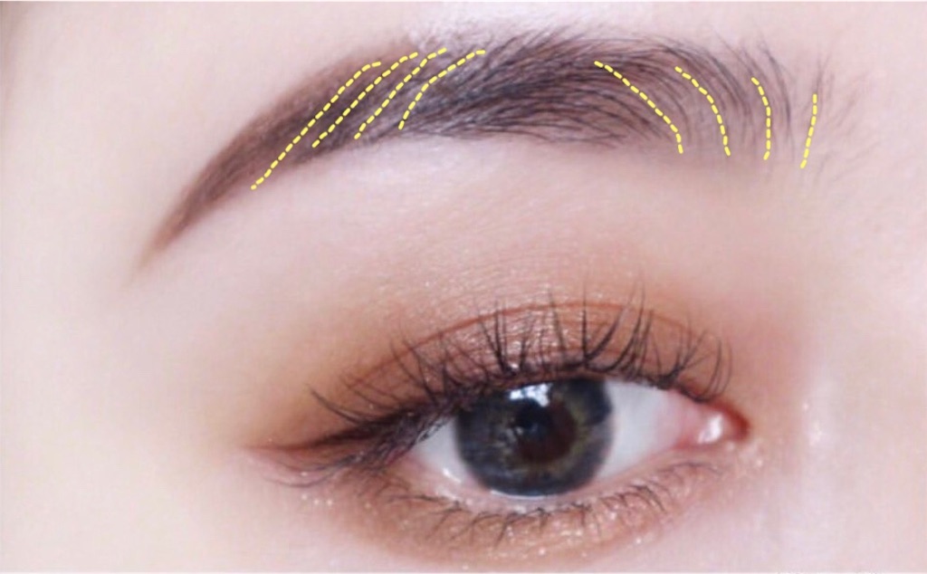 f:id:cosmekun:20190528224812j:image f:id:cosmekun:20190528224812j:image