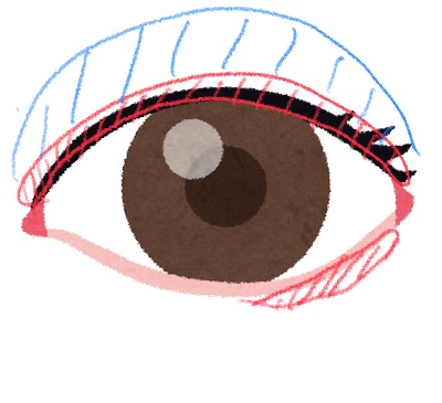 f:id:cosmeticlike:20210923232246j:plain